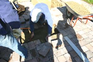 Zur Vergr��erung auf das Bild klicken!