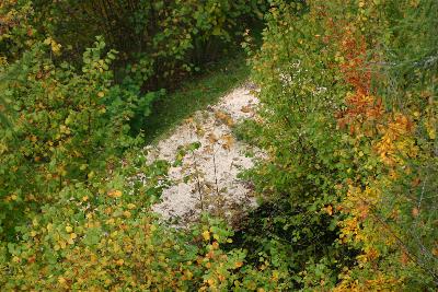 Blick auf Schlosspfad von der Burgruine