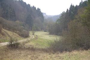 Das Altburgtal - Blick in Richtung Schönecken