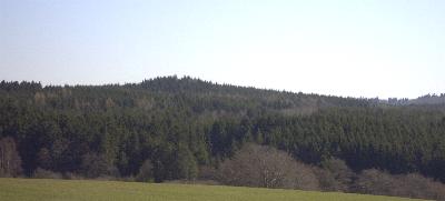 Vor einem gro�en Wald......